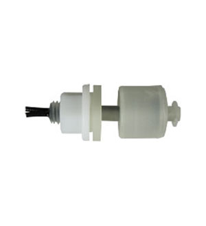 RSF54Y100RC, ������ ������ �������� 0.6A/240VAC