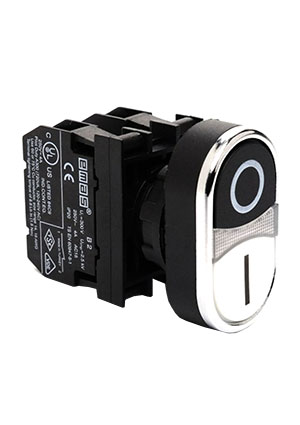 B100K20HB10,   - (1)  