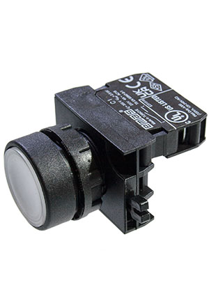 CP101DB, ������ �������� ������� ����� (2��)