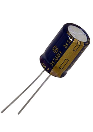 EEUFC2A100, ����������� ����������������� 10��� 100� 20%