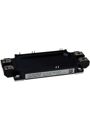 GD300HFY120C6S, IGBT ������, Half Bridge, 1200V, 300A, C6.1, ������������ ��� CM300DX-24T