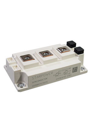 GD300HFX170C2S, IGBT������, Half Bridge, 1700V, 300A, C2.0, ������������ ��� CM300DY-34T, 2MBI300VH-