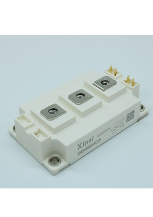 XNG300B34KC2S8, IGBT ������ 1700B 300� 2 in one-package