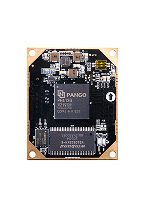 AMD AXP12, Development Kit PGL12G-6CFBG256, 256Mb SDRAM Pangomicro cредства разработки и отладки для микроконтр.