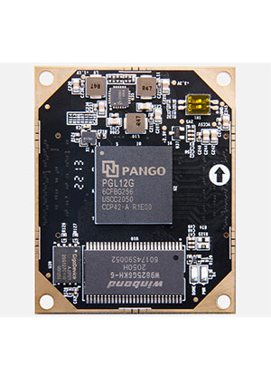 AMD P12, System-on-Module PGL12G-6CFBG256, 256Mb SDRAM Pangomicro cредства разработки и отладки для микроконтр.