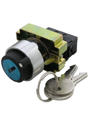 RUICHI 3SA8-BG21, Выключатель с ключом RUICHI 3SA8-BG21, 2 положения, NO, 3 А, 240 В, IP40, винтовой зажим выключатели