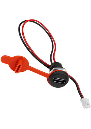 RUICHI TYPE-C-2pin-20-PH2.0, Разъём TYPE-C-2pin-20-PH2.0 RUICHI, длина кабеля 155 мм, 2 контакта, 5 А, 20 В разьемы USB
