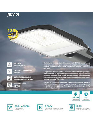 NEOX 4690612057071, Светильник уличный линзованный светодиодный ДКУ-2L 50Вт 230В 5000К 6250лм 125лм/Вт 42 уличное и дорожное освещение