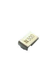 LP-SM300, 2920, /6V 3.0A