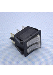 SWR 2101-1C3 W+W/B IRS