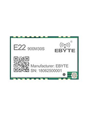 E22-900M30S,  LoRa, SX1262, 868MHz, SPI,  12  -   E19-915M30S