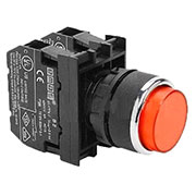 B162HK,   ,   (1+1)