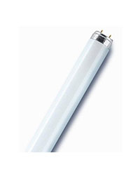 4008321959669,   L 18W 765 18 T8 6500 G13 . OSRAM 4008321959669