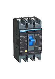 131362,   3 100 25 NXM-125S (R) CHINT 131362