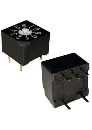 RS10-01, DIP- RUICHI RS10