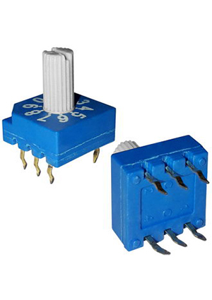 RS31007, DIP- RUICHI RS31007