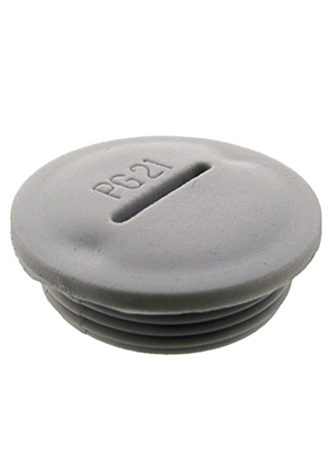  PG21   b   b ,     RUICHI PG21,  b   b ,  