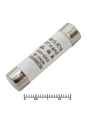 10A 500V 10x38mm, �������������� �������������� RUICHI, 10 A, 500 �, 10x38 ��, ������ ������������,