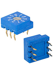 RS31000, DIP- RUICHI RS31000