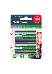 ����������� ������� GoPower HR20 D BL2 NI-MH 10000mAh (2/12/96)
