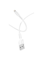 ������ GoPower GP21L USB (m)-Lightning (m) 1.0� 2.4A ������� ����� (1/