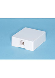 TJC b 6P4C  b -W, ������� ����������, 1 ���� RJ-11, �����