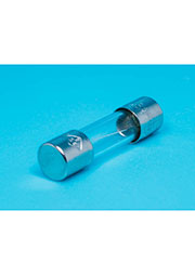 FS-52GF-6.3/250, �������������� 5�20��, ����������, �������, 6.3A/250� (GFE)