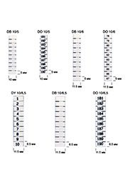 Klemsan 0.0.0.5.04925, DO10/5; Вертикальная марк-ка (251-260), уп.500шт. аксессуары для клемм и колодок